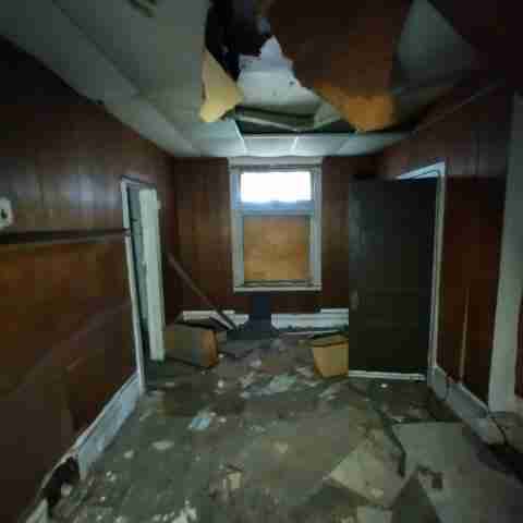 8031 conger (16).jpg